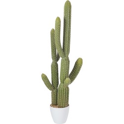 J-line - Cactus+pot Plastic Groen/melamine Wit Large - 36x20x115cm