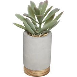 Atmosphera vetplant kunstplant in pot van cement grijs 20 cm - Kunstplanten