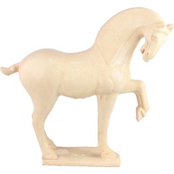 Fine Asianliving Chinese Horse Tang Dynasty Terracotta Pottery White