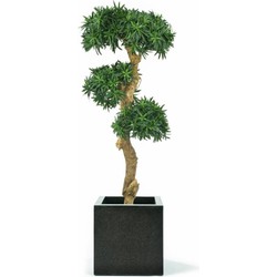 Hoyz Greenery - Kunstplant Podocarpus Bonsai 140 cm