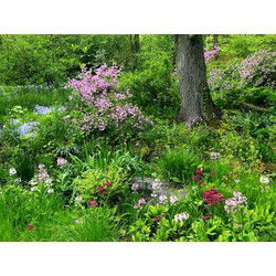 Tuinschilderij lentetuin 130x70cm