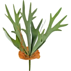 Hoyz Greenery - Kunstplant Staghorn 53 cm