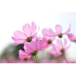 ESTAhome fotobehang veldbloemen roze - 418,5 cm x 279 m - 158009
