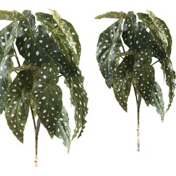Leaves Plant - 30.0 x 28.0 x 41.0 cm