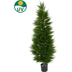 Greenmoods Plant Conifeer Toren - Thuja occidentalis - Nep plant - Sterk UV bestendig - 1 Stuk - 120cm -