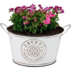 Sunnydays Teil/plantenpot - zink - rond - ivoorwit - D22 x H12 cm - IJzeren emmer / teil