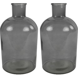 Countryfield vaas - 2x stuks - grijs glas - fles - D17 x H31 cm - Vazen