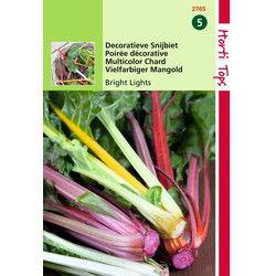 2 stuks - Snijbiet Decoratieblad Bright Lights