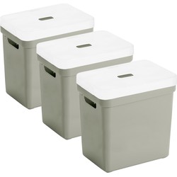 Set van 3x opbergboxen/opbergmanden lichtgroen van 25 liter kunststof met transparante deksel - Opbergbox