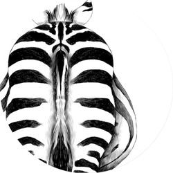Muurcirkel Backside Zebra