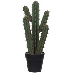 Mica Decorations cactus in plastic pot maat in cm: 20 x 14 x 50