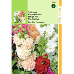 2 stuks - Althaea Rosea Fl.Pl. Chater S Gemengd
