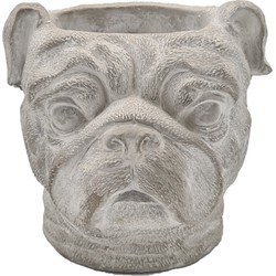 Pot - Bulldog - 19cm - Beton