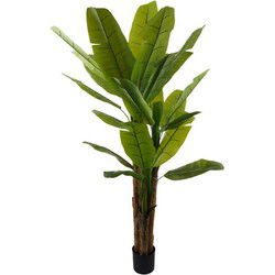 Kunstplant bananenplant, 220 cm