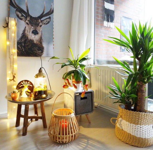 20 tips voor de perfecte lazy sunday