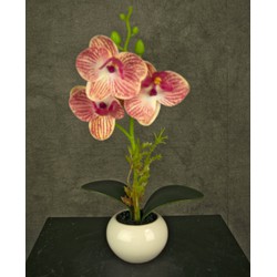 Greenmoods Kunst Orchidee - Phalaenopsis - Nep plant - 1 Stuk - 28cm - Roze