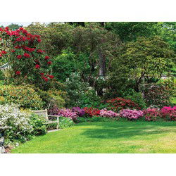 Bloementuin 70x50cm Tuinschilderij