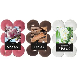 Candles by Spaas geurkaarsen - 36x stuks in 3 geuren - Maxi theelichtjes van 4.5 branduren - geurkaarsen