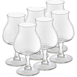 Royal Leerdam Speciaal Bierglazen Lund - 6x stuks - 260 ml - Bierglazen