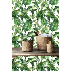 Zelfklevend behang Bananenblad groen wit 60x122