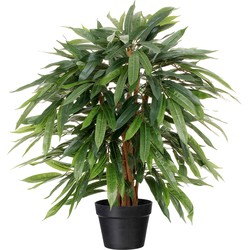 Kopu® Kunstplant Ficus Benjamina 80 cm in zwarte pot - Nepplant