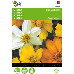 5 stuks - Zinnia angust Star Starbright mixed Tuinplus