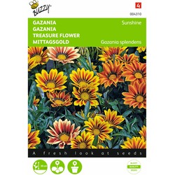 2 stuks - Gazania Splendens Hybrida Sunshine Gemengd - Buzzy