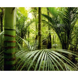Sanders & Sanders fotobehang jungle-motief groen - 360 x 270 cm - 600477