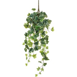 Mica Decorations Hedera Kunst Hangplant - H71 cm - Groen Bont