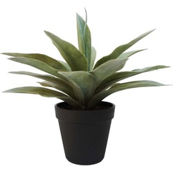 Grijze kantoor kunstplant agave succulent plant in pot - Kunstplanten