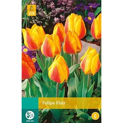 3 stuks - Tulipa Flair 8 bollen