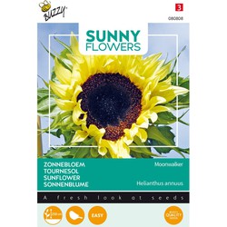 3 stuks - Seeds Sunny Flowers Sonnenblume Moonwalker - Buzzy