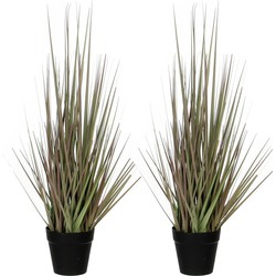 2x stuks mica Decorations - gras kunstplant - groen/paars - H53 x D30 cm - Kunstplanten