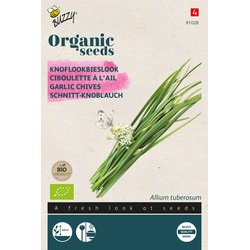 Organic Bieslook Knoflook (BIO)