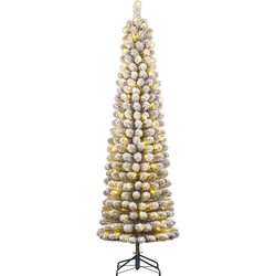 Black Box Trees Charlton Smalle Kunstkerstboom met Warm Witte LED Verlichting - H215 x Ø56 cm - Groen Frosted