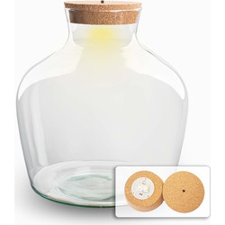 URBANJNGL - Terrarium met kurk - Fat Joe - Gesloten terrarium ↑ 30 cm