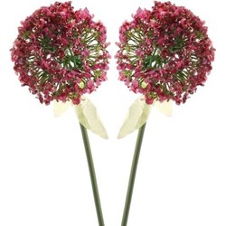 2 x Kunstbloemen steelbloem roze/rode sierui 70 cm - Kunstbloemen