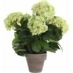 Mica Decorations Kunstplant Hortensia - lichtgroen - 45 cm - in pot - Kunstplanten