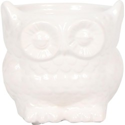 Kolibri Home | Owl bloempot - Witte keramieken sierpot - Ø6cm