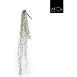 6 stuks! Tillandsia hangend groen l115 cm Mica Decorations (e)