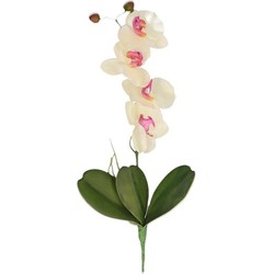 Nep planten roze/wit Orchidee/Phalaenopsis kunstplanten takken 44 cm - Kunstbloemen