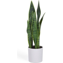 Kave Home - Kunstmatige Sansevieria met witte plantenpot 55 cm