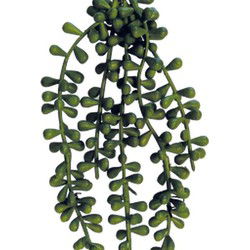 Repto Aquadistri plant dark green 37 cm