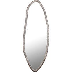 PTMD Spiegel Paislie - 56x3x150 cm - Nikkel - Nikkel