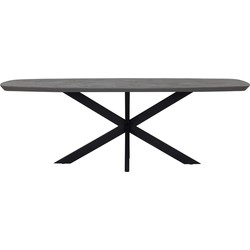 DTP Home Dining table Vito Danish oval 225 PEPPER,76x225x105 cm, mortex