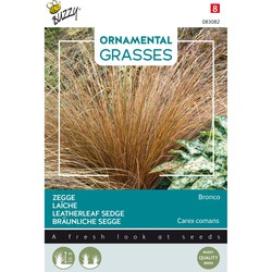 Ornamental Grasses, Carex comans 'Bronco'