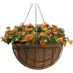 2 stuks - Hanging basket metaaldraad groen geepoxeerd incl. ketting H20x dia. 40cm