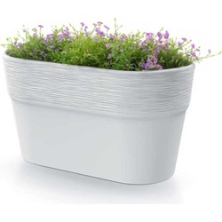 Prosperplast Plantenpot/bloempot Windsor - kunststof - ivoor wit - L28 x B15 x H15 cm - Plantenpotten