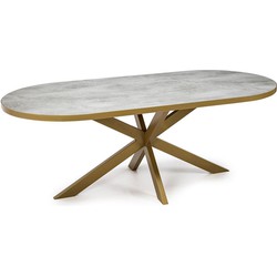 Stalux Plat ovale eettafel 'Noud' 180 x 100, kleur goud / beton