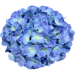 Kunst hortensia tak blauw 92 cm